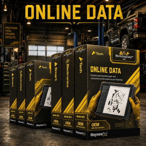 Haynes pro workshopdata - haynes,